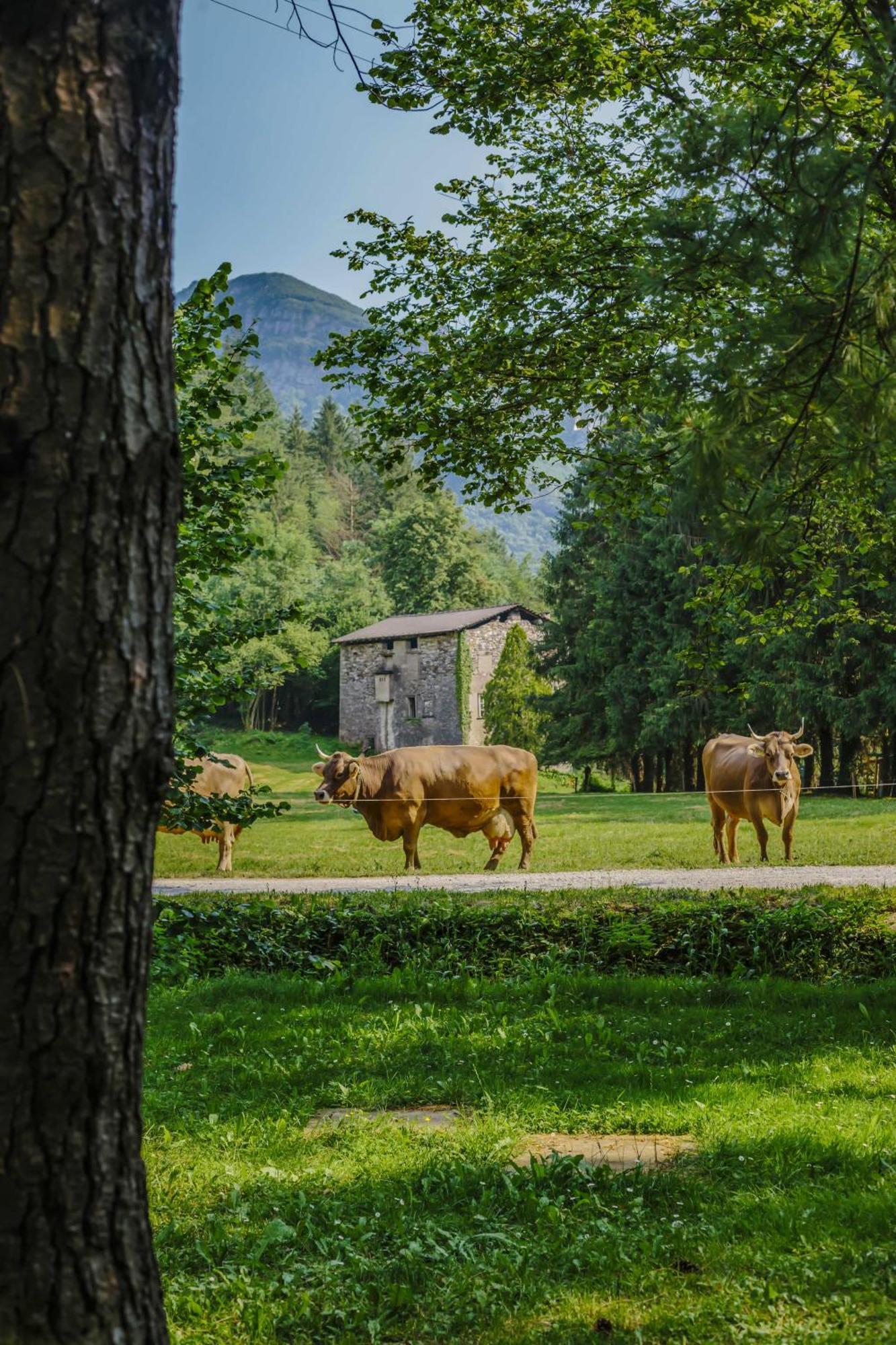 Lenna Agriturismo Ferdyヴィラ エクステリア 写真